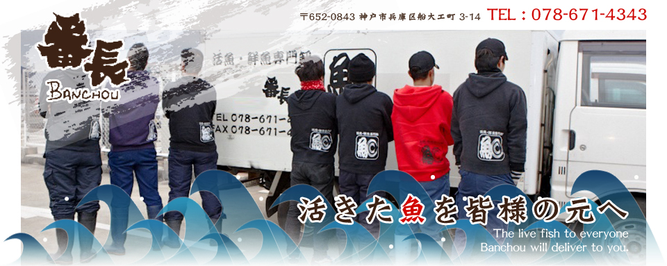 番長 活魚・鮮魚専門卸｜卸業者 神戸 活サバ 活アジ